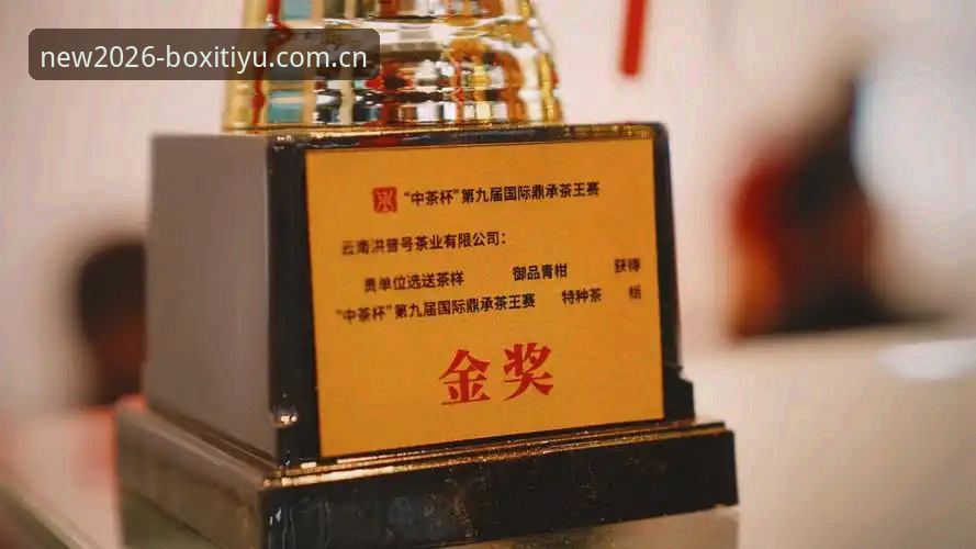 博喜体育资质教程 博喜体育资质教程深度分析:从入门到精通的全方位指南